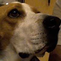Profile Picture of Dylan Hinton (@dylan-hinton-1) on Quora