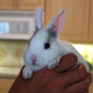 Profile Picture of Greg Zak (@326620055) on Myspace