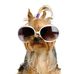 Profile Picture of Teresa Patnaude Morris (@Teresa-Patnaude-Morris) on Facebook