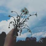 Profile Picture of ~김~아나스타샤~ (@_siusia_na_) on Instagram