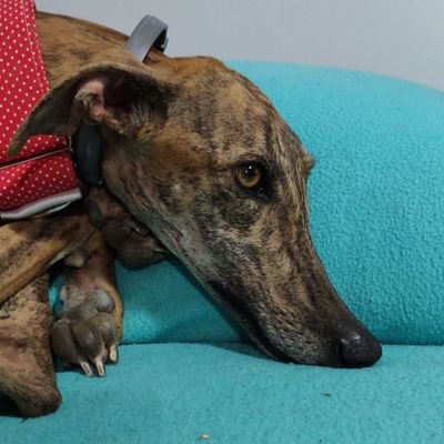 Profile Picture of Lau (@Ava_1417) on Twitter