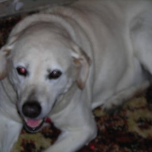 Profile Picture of Isaac Thorne (@197894218) on Myspace