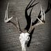 Profile Picture of Jason Roush (@jason.roush.902) on Facebook