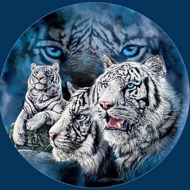 Profile Picture of Joseph Arrieta (@PeJhose) on Twitter