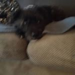 Profile Picture of dominic mark arbon (@adominicmark) on Instagram