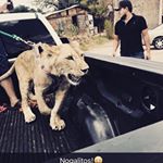 Profile Picture of Cesar Borrego (@borrego.cesar) on Instagram