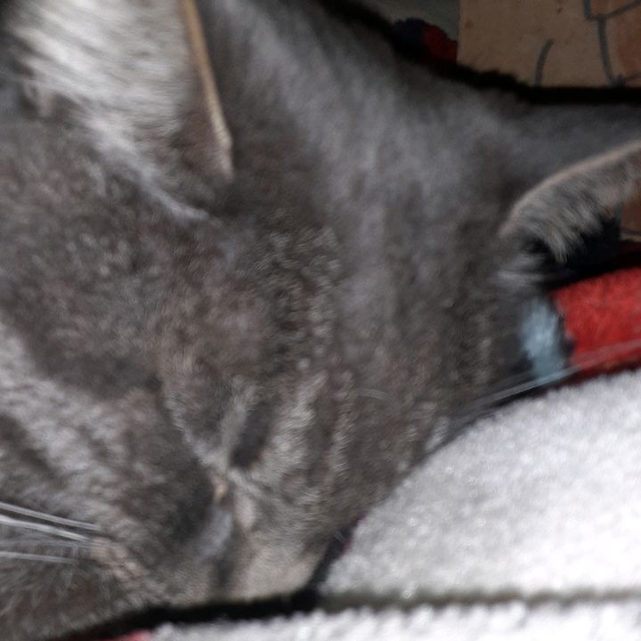 Profile Picture of Jesse  sanford (@jessesanford04) on Tiktok