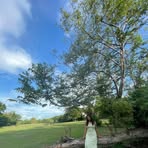 Stephanie Camarao - Facebook Profile Picture of Stephanie Camarao (@Stephanie-Camarao) on Facebook