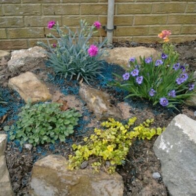 Profile Picture of Phoenix Landscapes (@johnso_derek) on Twitter