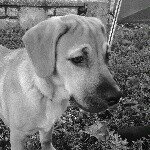 Péter Szücs - Instagram Profile Picture of Péter Szücs (@ledekura) on Instagram