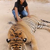 Profile Picture of Kirtana Devatha (@kirtana-devatha) on Quora