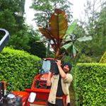 Profile Picture of Daniel Hale (@daniel_hale_headgardener) on Instagram