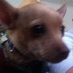 Profile Picture of Cindy Walker (@cindywalker0401) on Flickr