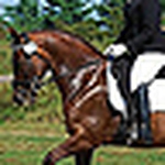 Profile Picture of Kathleen Bailey (@versatile morgan) on Flickr