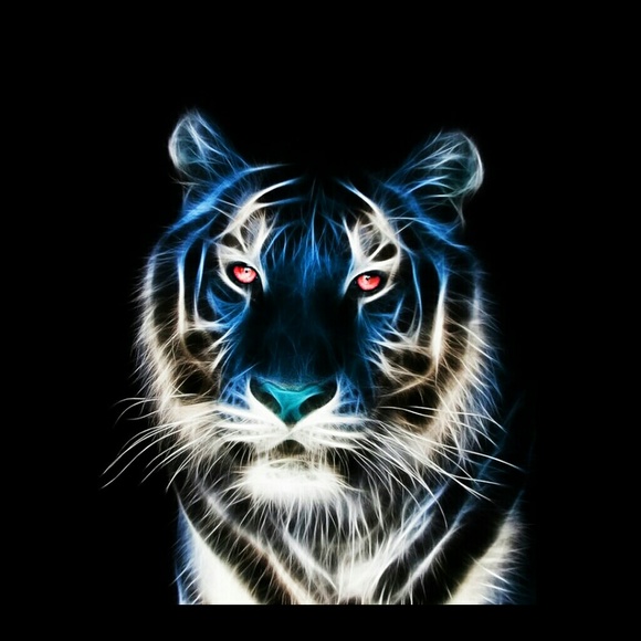 Profile Picture of Stacy Ribbey (@ribbey389) on Poshmark