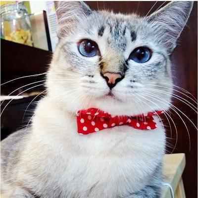 Profile Picture of Heather Blake (@Heather__blake) on Twitter