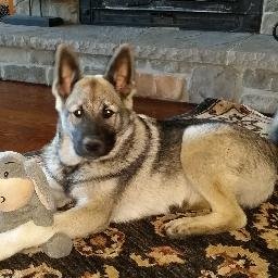 Profile Picture of Barb MacCarl (@BarbMacCarl) on Twitter