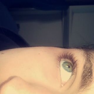 Profile Picture of Travis Farrar (@travo_travo_) on Twitter