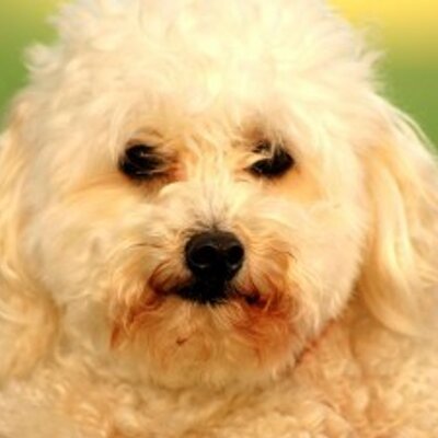 Profile Picture of John Alagna (@johnalagna) on Twitter