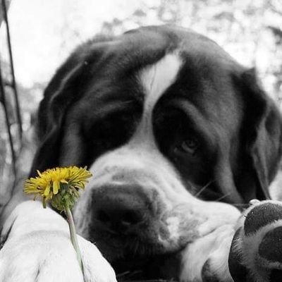 Profile Picture of Cory Hoffmann (@CoryHoffmann7) on Twitter