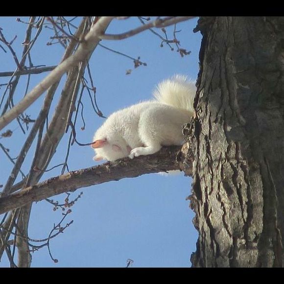 Profile Picture of Alice Parker (@aliceparker579) on Poshmark