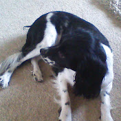 Profile Picture of Ian Finch (@ianfinch4859) on Youtube