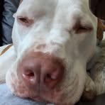 Profile Picture of Brett Hagel (@brett.hagel.2025) on Facebook