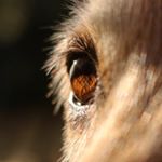 Profile Picture of Sam Haig (@joeyhaig) on Instagram