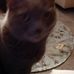 Profile Picture of Greg Millsap (@greg.millsap.376) on Facebook