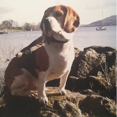 Profile Picture of Colin Newton (@colinnewton7) on Twitter