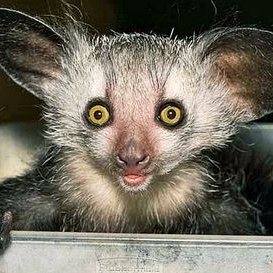 Profile Picture of Darin Stone (@LottaHate_ANIME) on Twitter