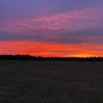 Profile Picture of Alisha Moore (@alishatx) on Instagram