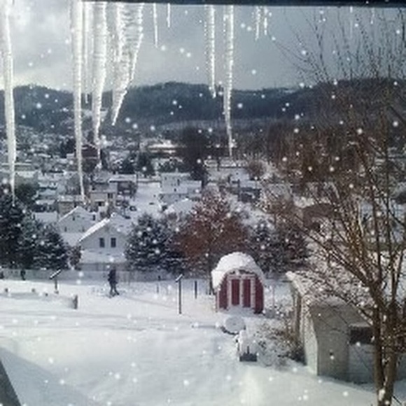 Cindy Beegle - Poshmark Profile Picture of Cindy Beegle (@cbeegle68) on Poshmark