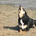 Profile Picture of Dommel Korpel (@dommel.korpel) on Facebook