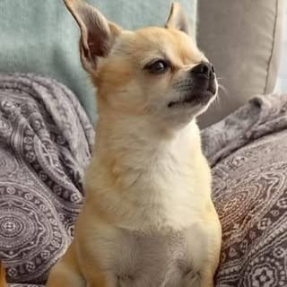 Profile Picture of Robert mcmeekin (@robert.mcmeekin) on Instagram