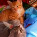 Profile Picture of Patrick Harpon (@patrick.harpon.562) on Facebook