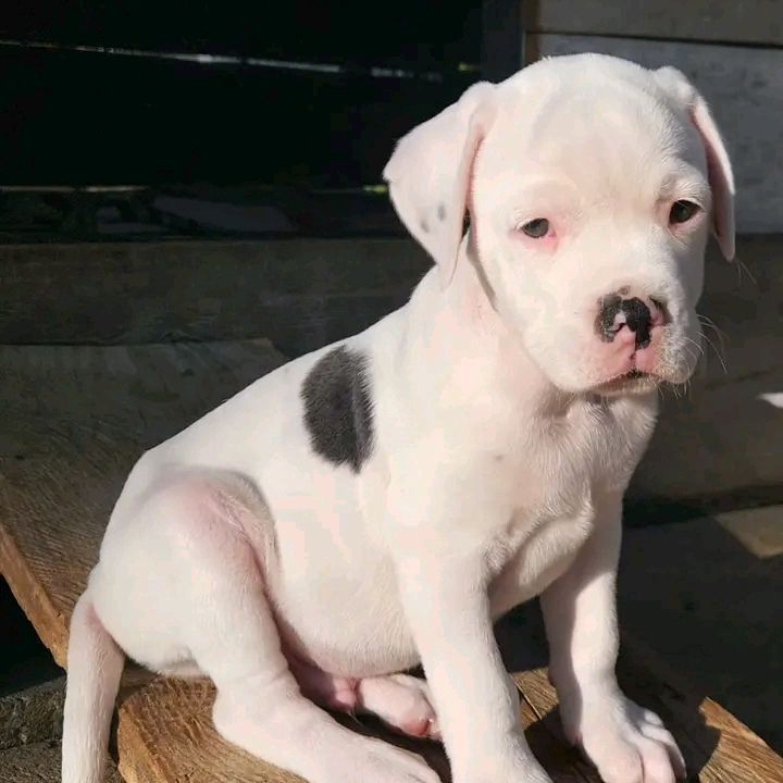 Profile Picture of marvin soc (@marvin.soc48) on Tiktok