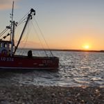 Clive Young - Instagram Profile Picture of Clive Young (@cliveyoungphotography) on Instagram