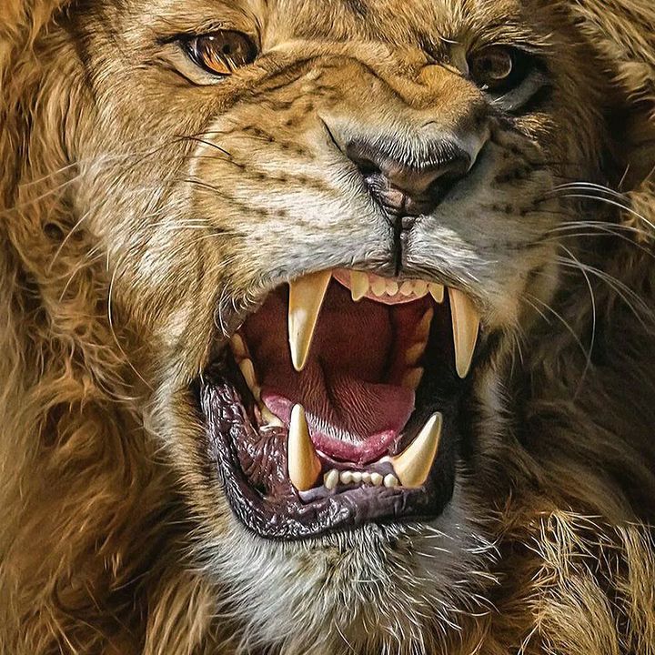 Profile Picture of kevin daely (@kevin.daely) on Tiktok