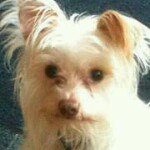 Profile Picture of Janet Ippolito (@janipp4) on Instagram