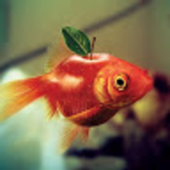 Profile Picture of Sarah Hogman (@3eyedbear) on Poshmark