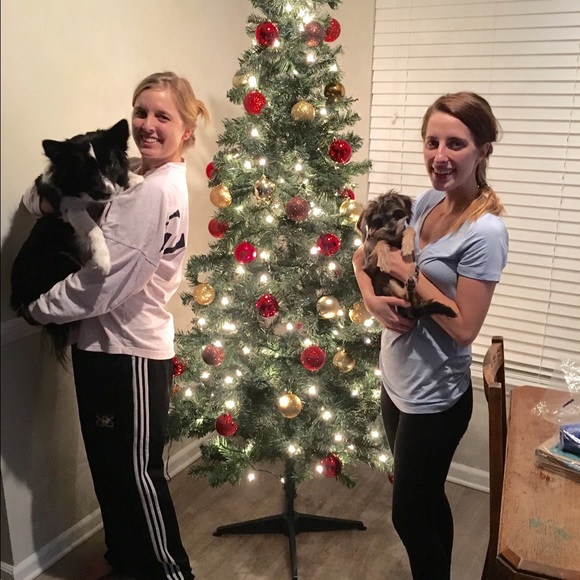 Profile Picture of Elizabeth Ludwinski (@ellp95) on Poshmark