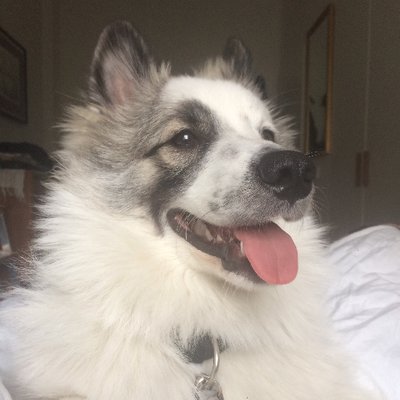 Profile Picture of Michael Moineau (@MichaelJoeMoi) on Twitter