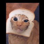 Profile Picture of Julia Dickens (@juliamdickens) on Instagram