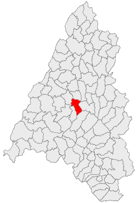 Profile Picture of Copăcelon Wikipedia