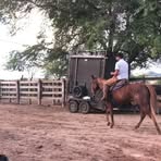 Profile Picture of Emanuel Resende (@Emanuel-Resende) on Facebook