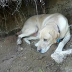 Profile Picture of Stephanie Gazzerro Martinka (@steffanica2005) on Instagram