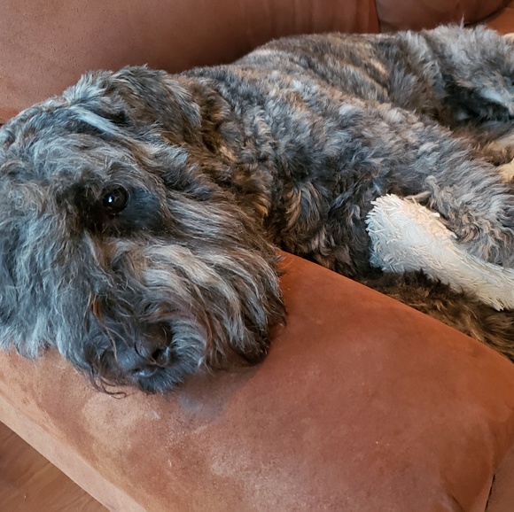 Profile Picture of Travis Thomson (@travtree) on Poshmark