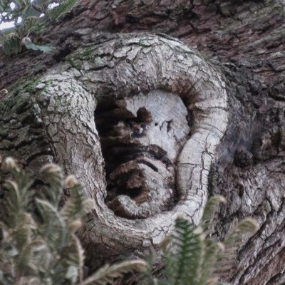 Profile Picture of Marc Saltzman (@MarcSaltzman3) on Twitter