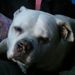 Profile Picture of James Nagler (@jamesnagler) on Pinterest